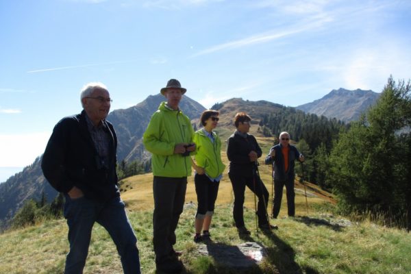 Hitzenbichl
Matatzspitze
In die Mahder
Stammgäste
Aussicht