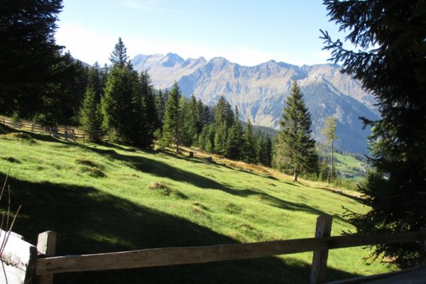 Idylle
Natur
Wandern
Genuss
In die Mahder